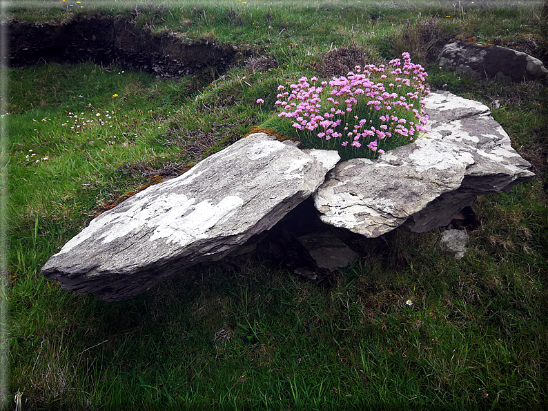 foto Costiere di Ballybunion